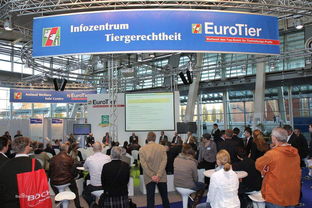 會展服務中的網(wǎng)絡布線安裝 關鍵步驟與最佳實踐