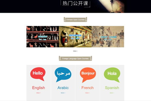 云端共品書香，數(shù)字文化新篇章——中國(guó)文化中心數(shù)字圖書館正式啟用